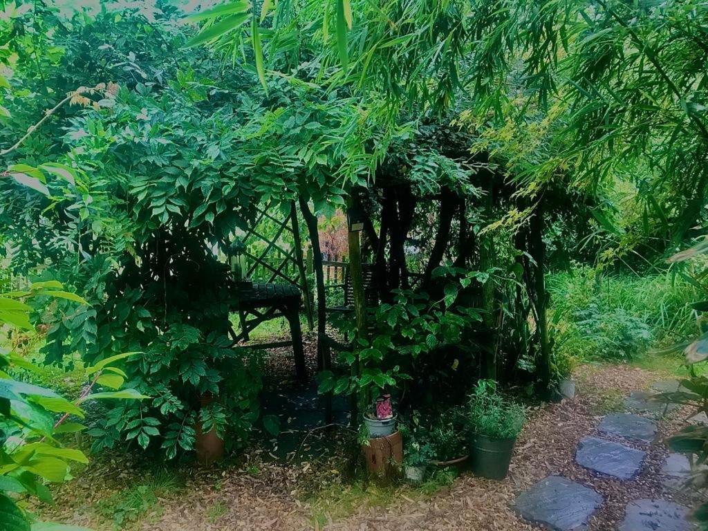 The Garden Room Ringwood Bagian luar foto